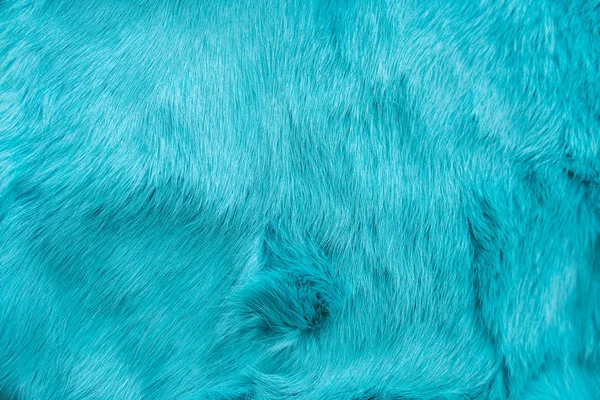 Kék nyúl prém textúra, állati bőr háttér Stock Kép