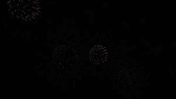 Una hermosa fuegos artificiales iluminan el cielo con una pantalla deslumbrante sobre un fondo oscuro . —  Fotos de Stock