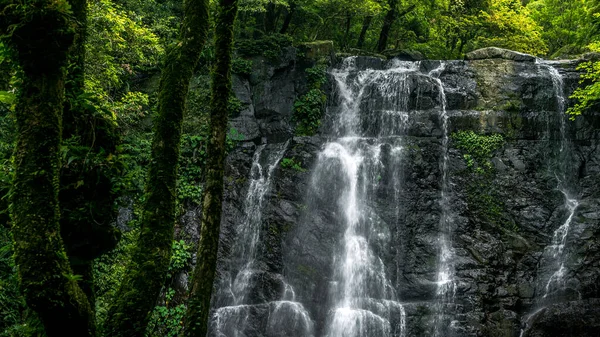Un paisaje de cascada de belleza natural en la montaña de Taiwán. Cascadas en el bosque — Foto de Stock