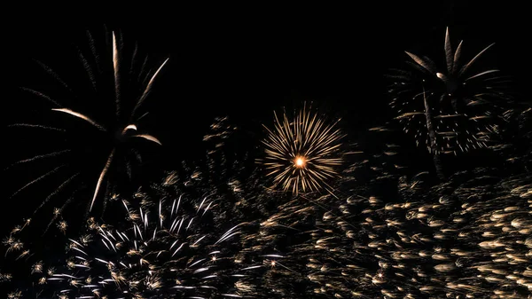 A beautiful Fireworks light up the sky with dazzling display on dark background.