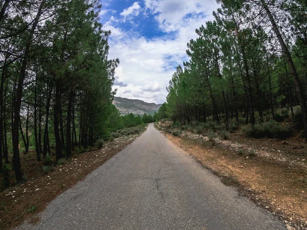 POV dirigindo em uma estrada curva através de um pinheiro em Espanha, na estrada de Nerpio — Fotografia de Stock