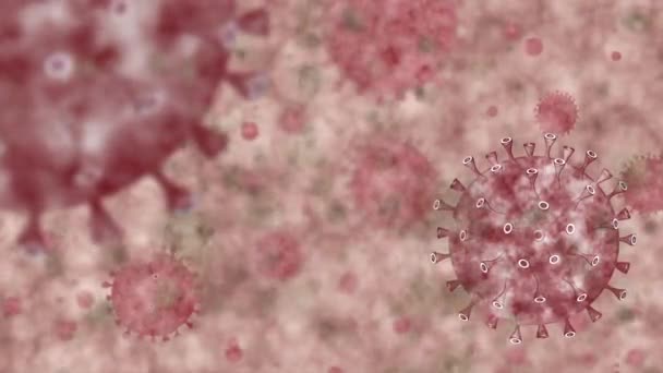 Coronavirus Outbreak Infecting Respiratory System Influenza Type Covid19 Virus Background — Stock Video