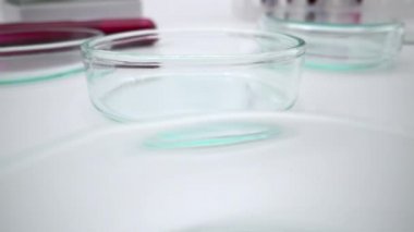 4K, bilim adamı Petri kabına örnek bırakıyor. Laboratuvarda pipetle deneyler yaptım. Tıbbi testler için biyokimya testi sıvısı ekledim. Petrischalen-Dan Laboratuvarında ekipman ve bilim deneyleri