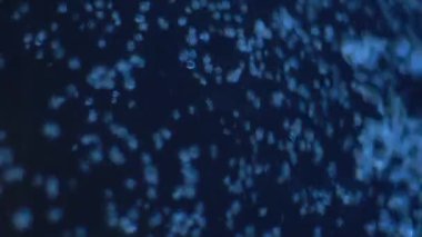 Yavaşça kabarcıklar yüzeye doğru yükseliyor. Denizde yüzeye çıkan hava kabarcıkları. Karanlık sualtı çekimi. Güzel soyut arkaplanlar için iyi.