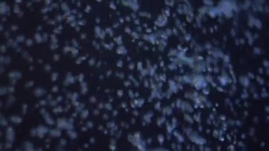 Yavaşça kabarcıklar yüzeye doğru yükseliyor. Denizde yüzeye çıkan hava kabarcıkları. Karanlık sualtı çekimi. Güzel soyut arkaplanlar için iyi.