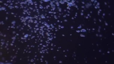 Yavaşça kabarcıklar yüzeye doğru yükseliyor. Denizde yüzeye çıkan hava kabarcıkları. Karanlık sualtı çekimi. Güzel soyut arkaplanlar için iyi.