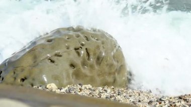 Tayvan Adası 'nda dalgaların köpüğüyle okyanus kıyısında yavaş hareket eden peebles plajı. Deniz sörfleri çok renkli renkli taşların üzerine sıçrıyor. Kıyıdaki dalga, Dan.