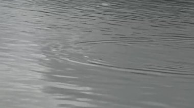 4k Su Dalgaları Doğa Gölü 'nde. Bir Göletin Seviye Görünümü.