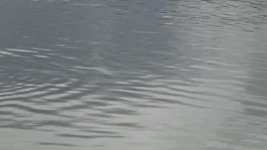 4k Su Dalgaları Doğa Gölü 'nde. Bir Göletin Seviye Görünümü.