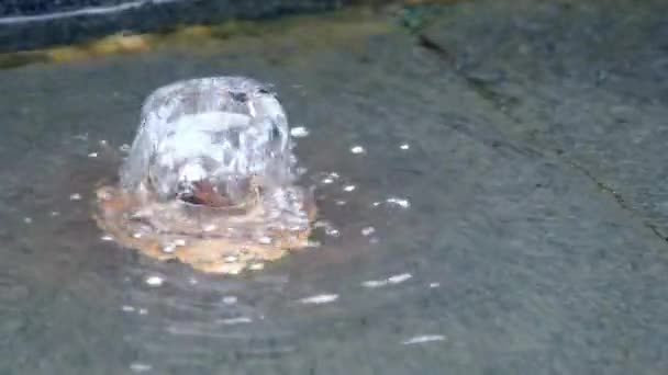 Slow Motion Artificial Fount Mitt Daan Parken Taipei City Vatten — Stockvideo