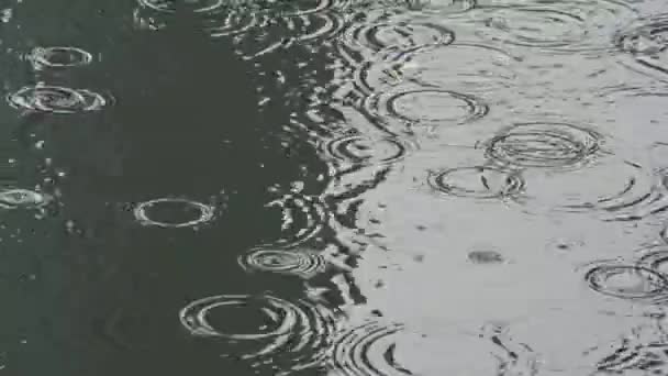 Caduta Acqua Piovana Sul Lago Dan — Video Stock