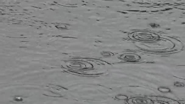 Fallendes Regenwasser Auf Dem Lake Dan — Stockvideo