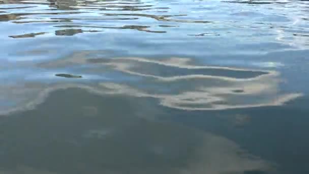 Belles Ondulations Eau Sur Lac Nature Vue Niveau Étang Dan — Video
