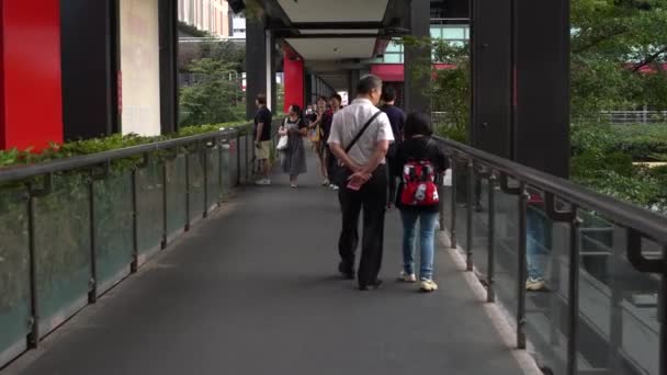 Taipei Taiwan Szeptember 2017 Tracking Shot Asian People Walk Buy — Stock videók