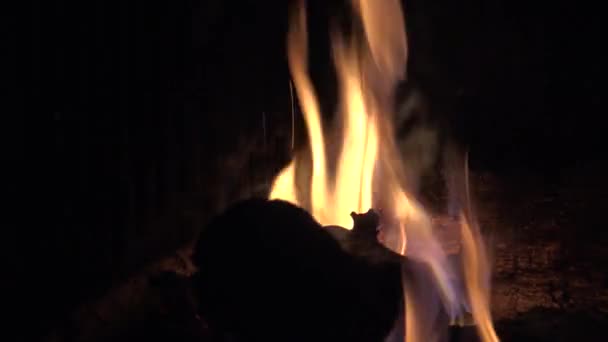 Open Haard Met Een Warm Brullend Vuur Rode Kolen Hout — Stockvideo