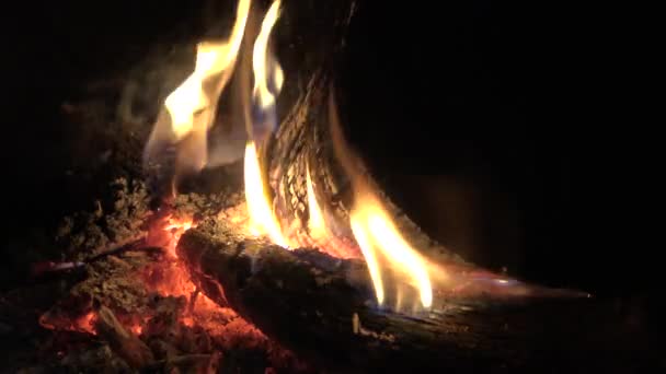 熱い轟音火と赤い石炭と暖炉 暖炉で薪を燃やし 冬のクリスマスの雰囲気の暖かさ — ストック動画