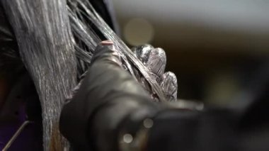 Asya kuaföründeki saç rengini yumuşatmak için saç boyası uygulayan saç stilistinin yavaş çekim yakın çekimi. Stüdyoda mor renkli saç boyama. Kadın saçı, kuaför Dan 'den renk alır.