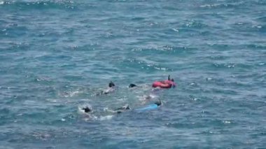 İnsanlar deniz suyu arka planında mayoyla, maskeyle ve paletlerle şnorkelle yüzüyor. Tropik bir adanın yaz tatilinde mavi okyanusta yüzmek.