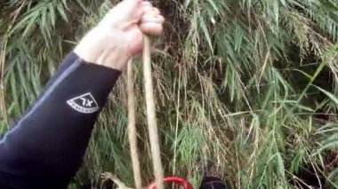 4K, Şelaleden kaya tırmanışı pratiği yapan kişi. Adam ormanın derinliklerinde ipe tırmanıyor. Şelaleden halatla geçebilir miyiz? Yüksek bir şelaleden iple kask takan maceraperest bir tırmanıcı.