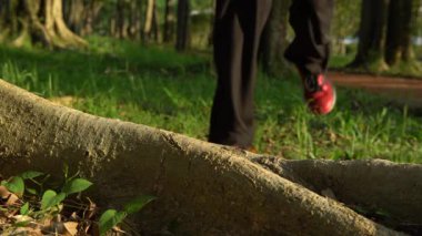 Yazın sıcak bir gününde Taipe City 'deki Daan Park' ta ağacın köküne ayakkabı bağlayan koşucu, ayakkabı bağlayan 4K koşucusu. Egzersiz Konsepti. Tayvan-Dan 'de spor yaşam tarzı