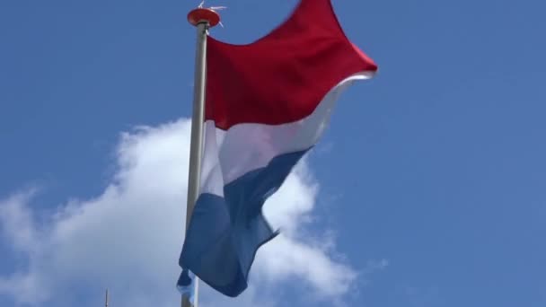 Bandera Los Países Bajos Ondeando Viento Asta Bandera Ciudad Amsterdam — Vídeo de stock