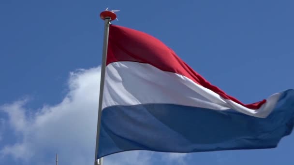 Zpomalený Pohyb Nizozemské Vlajky Vlnící Větru Stožáru Amsterdamu Před Modrou — Stock video