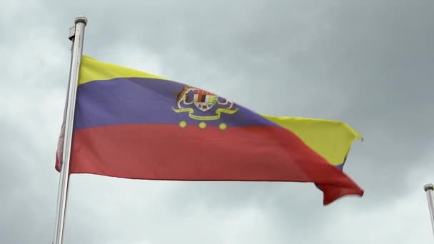 Slow Motion Malaysian Flag Waving Wind Flagpole Kuala Lumpur City — Stock Video