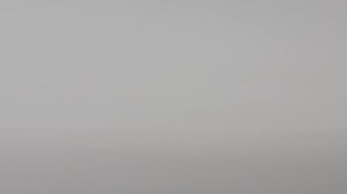 Yavaş hareket eden metaller beyaz arka planda dönüyor ve bir el alıyor. Yeni dünya çapında sanal internet parası. Siber uzayda dijital para, şifreli para LTC-Dan