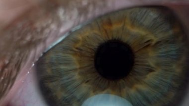 Göz bebeklerinin içinde sarı turuncu mavi renkte bir dokunuşla çok yakın yeşil gözlü, yavaş hareket eden göz bebeği kirpikleri. Erkek gözünün aşırı yakın plan makro çekimi, Dan.