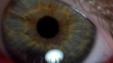 Göz bebeklerinin içinde sarı turuncu mavi renkte bir dokunuşla çok yakın yeşil gözlü, yavaş hareket eden göz bebeği kirpikleri. Erkek gözünün aşırı yakın plan makro çekimi, Dan.