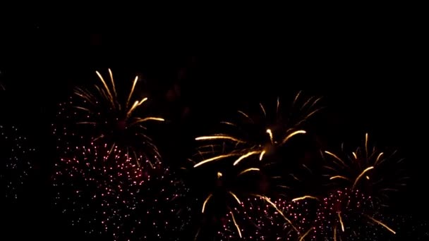 Ein Schönes Feuerwerk Erhellt Den Himmel Auf Dunklem Hintergrund Fest — Stockvideo