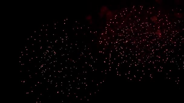 Bellissimo Fuoco Artificio Illumina Cielo Sfondo Scuro Celebrazione Concetto Anniversario — Video Stock