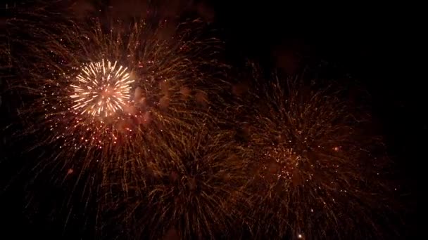 Ein Schönes Feuerwerk Erhellt Den Himmel Auf Dunklem Hintergrund Fest — Stockvideo