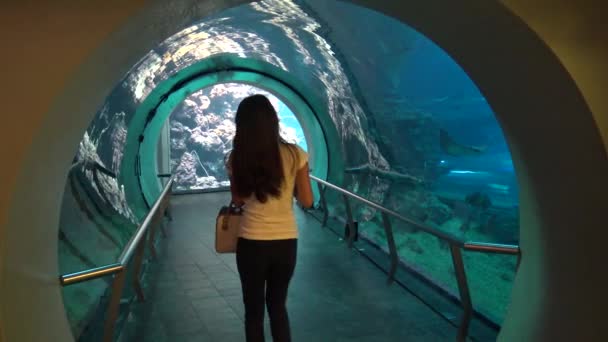 アジアの女性は水族館でトンネルに入り 海の生物学の国立博物館の水中生息地で魚が泳ぐようにガラスを見ます — ストック動画
