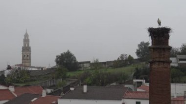 4K Stork, İspanya 'nın güneybatısındaki Badajoz eyaletinde yer alan Jerez de los Caballeros kasabasında yağmurlu bir günde yuvada. - Dan.