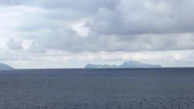 Akdeniz 'de uçan yaygın martılar, İtalya' nın arka planında Capri adası olan Napoli 'yi görüyor. Okyanusun üzerinde uçan bir martı. Deniz kıyısındaki martı sürüsü. Kuşsuz uçuş Dan