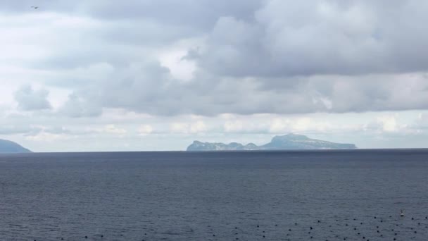 Gaivotas Comuns Voando Mediterrâneo Ver Com Capri Ilha Nápoles Fundo — Vídeo de Stock