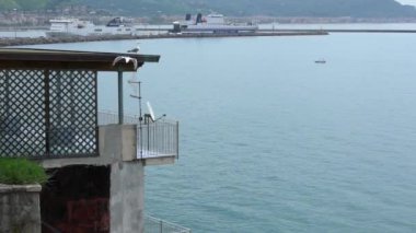 Ağır çekim. Akdeniz 'de uçan martı manzarası var. Martı İtalyan şehrinin üzerinde uçuyor. Deniz kıyısındaki martı. Uçsuz bucaksız geniş havadaki kuş. Ücretsiz uçuş Dan