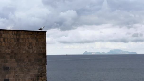 Talya Nın Arka Planında Capri Adası Olan Napoli Kalesi Nin — Stok video