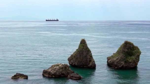 Movimiento Lento Escena Naturaleza Con Océano Durante Día Italia Gaviotas — Vídeo de stock