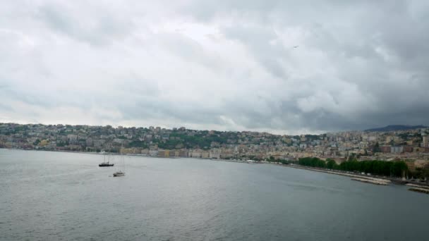 Групи Загальних Чайок Літають Центрі Уваги Бачать Неаполь Задньому Плані — стокове відео