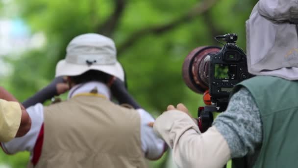 Taipei Tchaj Wan Květen 2016 Asijský Fotograf Fotografuje Divokou Zvěř — Stock video