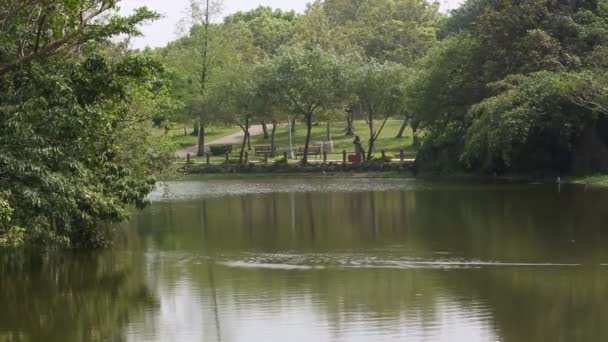 Belle vue sur le lac du parc forestier Daan, à Taipei capitale de Taïwan. Daan Park est similaire à d'autres grands parcs de la ville tels que Central Park de New York et Hyde Park-Dan de Londres 