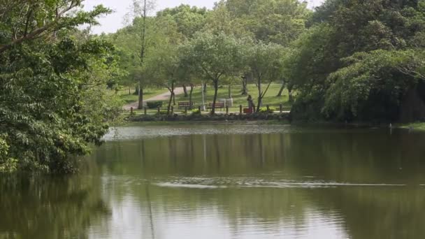 Vacker Utsikt Över Sjön Daan Forest Park Taipei Huvudstad Taiwan — Stockvideo