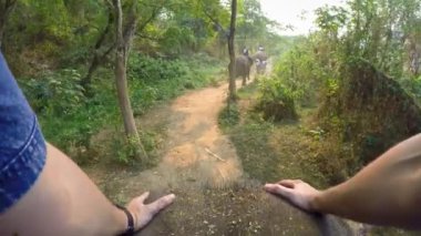 4K Asya filinin en üst görüntüsü. Bir turist grubu, beyaz tenli erkekleri Kuzey Tayland-Dan ormanlarındaki ağaçların arasında gezdirirken.