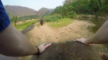 4K Asya filinin en üst görüntüsü. Bir turist grubu, beyaz tenli bir grup, Kuzey Tayland-Dan ormanlarında nehirde yürürken, onlara biniyor.