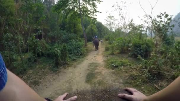 4Kアジアゾウのトップビュー観光客グループの白人男性が美しい森の中を歩く それらに乗る北タイダン — ストック動画