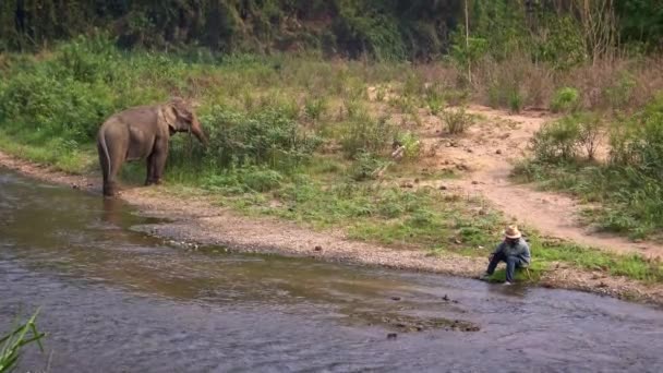 Thailand April 2016 Prachtig Uitzicht Mahout Zitten Aan Rivier Terwijl — Stockvideo