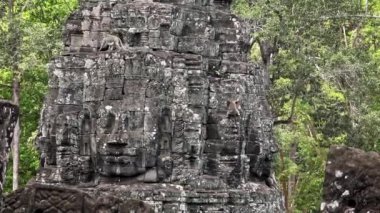 4K, Maymun Angkor Thom Bayon 'da bir yüz kulesine tırmanıyor. Bir grup maymun tropik bir ormanın ortasındaki Kamboçya tapınağından aşağı iniyor. Antik bir harabenin üzerindeki Asyalı maymunlar.
