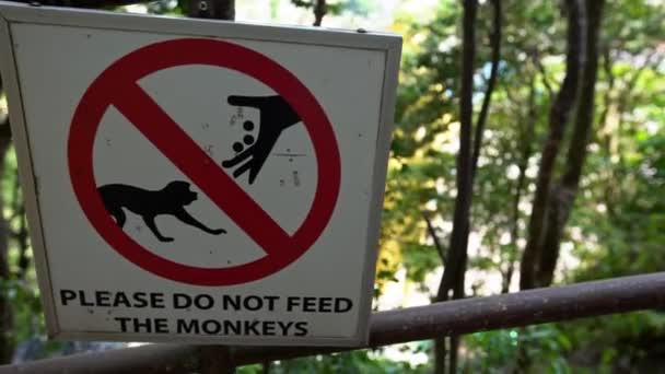 クアラルンプール マレーシア 2018 バトゥ洞窟寺院のサルへの餌やりに対する警告 マレーシアの山の中で動物に餌を与えないでください 自然林の背景 — ストック動画